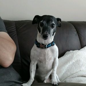 Meet your Posher, Billie